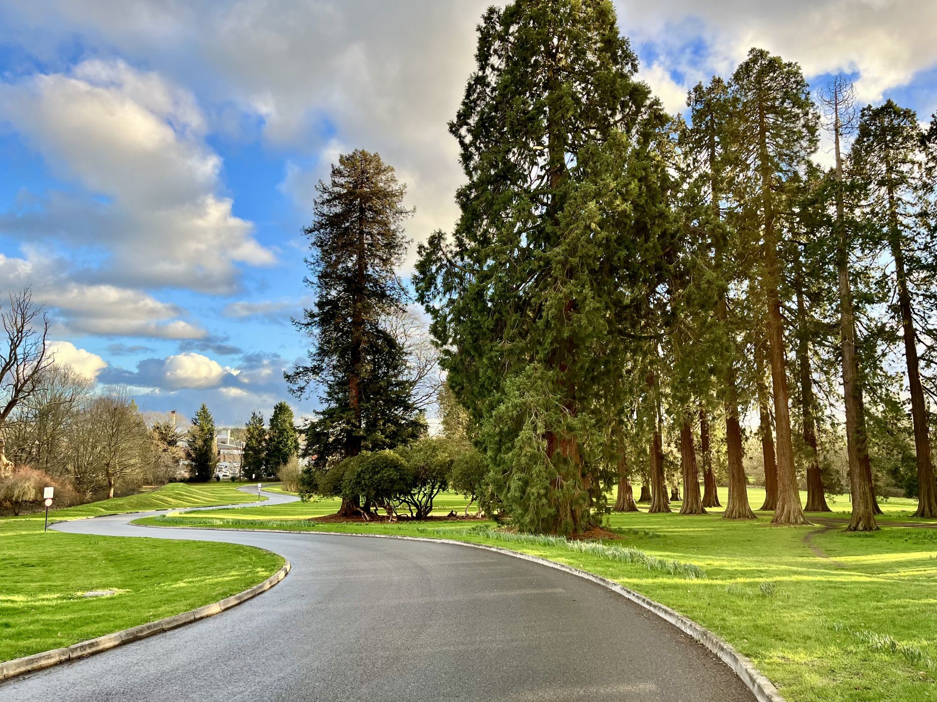 The route back through Royal Earlswood